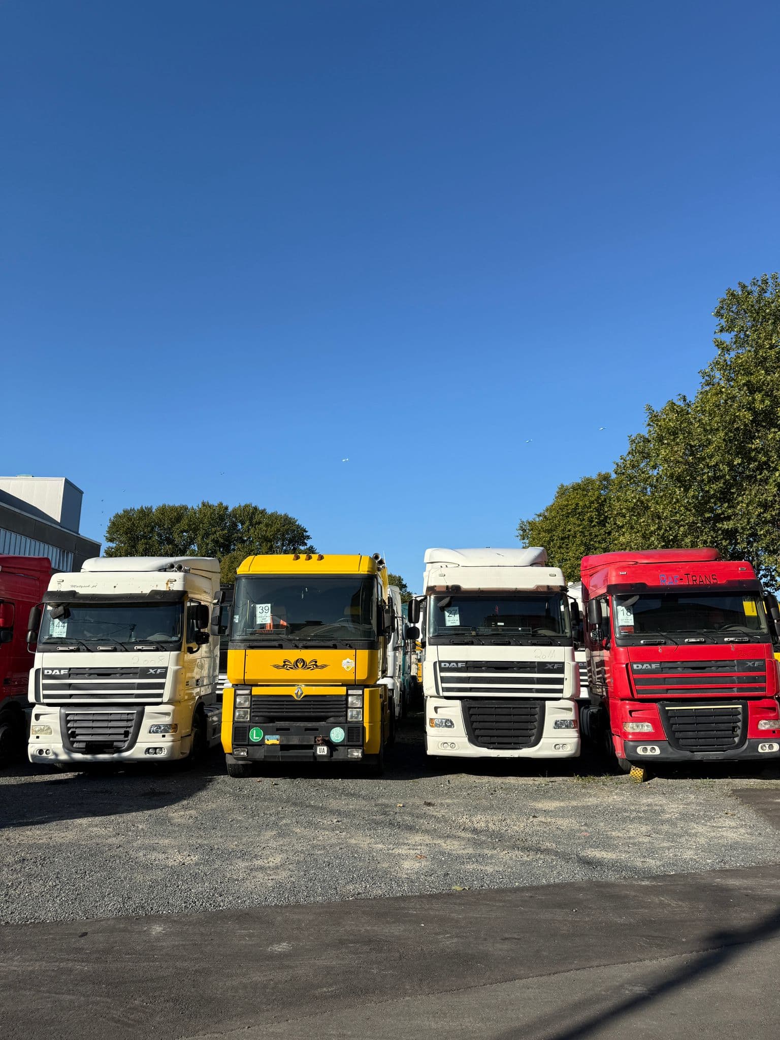 Moussa Export Galerie Bild 3