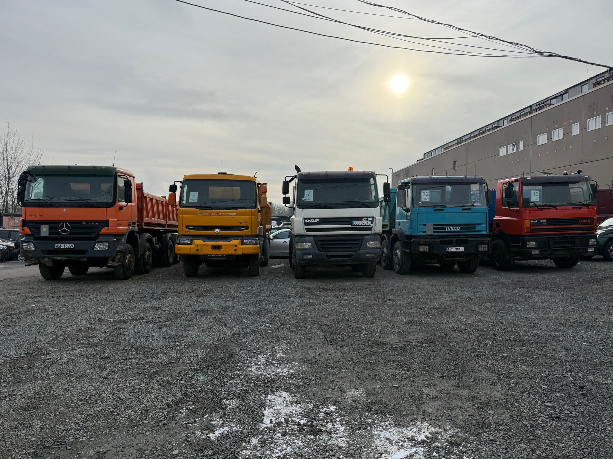 Moussa Export Galerie Bild 6