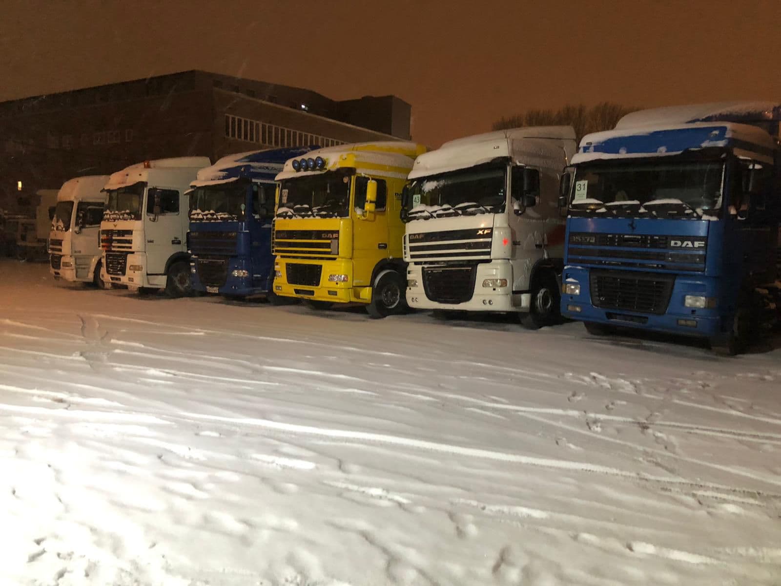 Moussa Export Galerie Bild 7