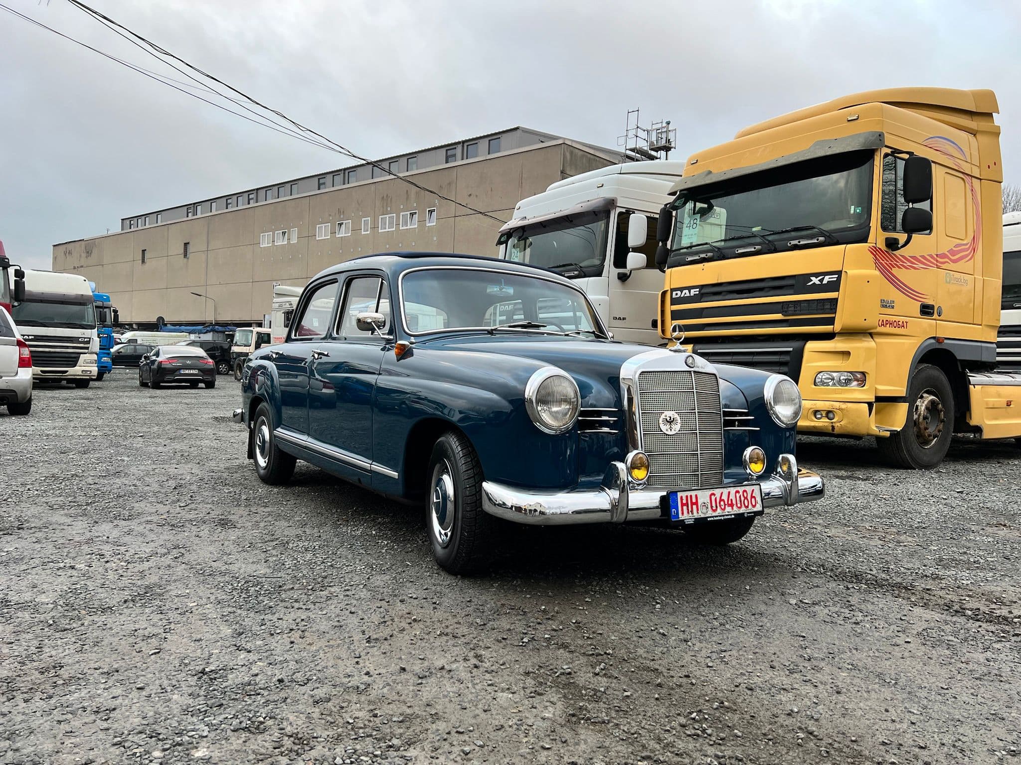 Moussa Export Galerie Bild 13