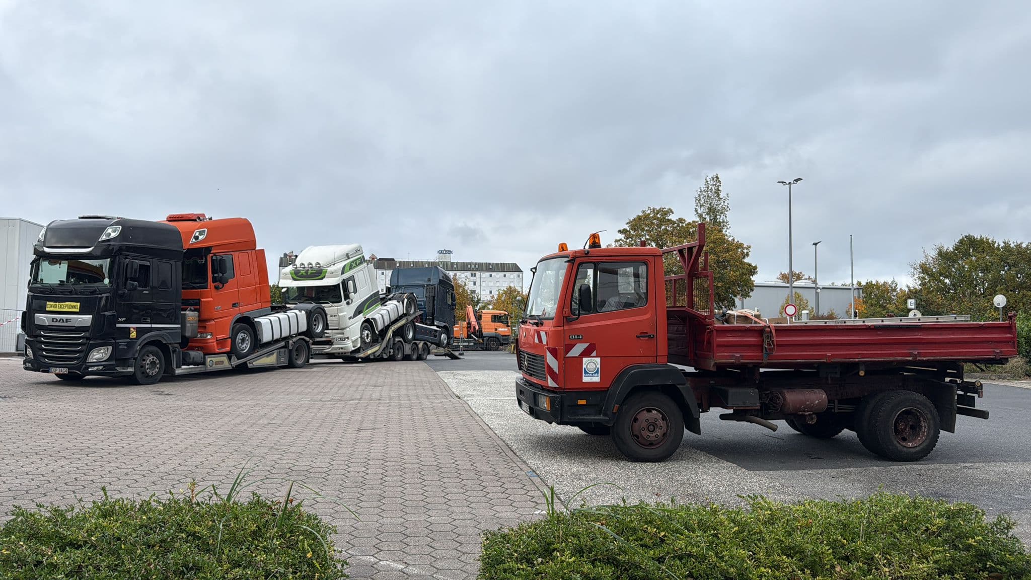 Moussa Export Galerie Bild 17