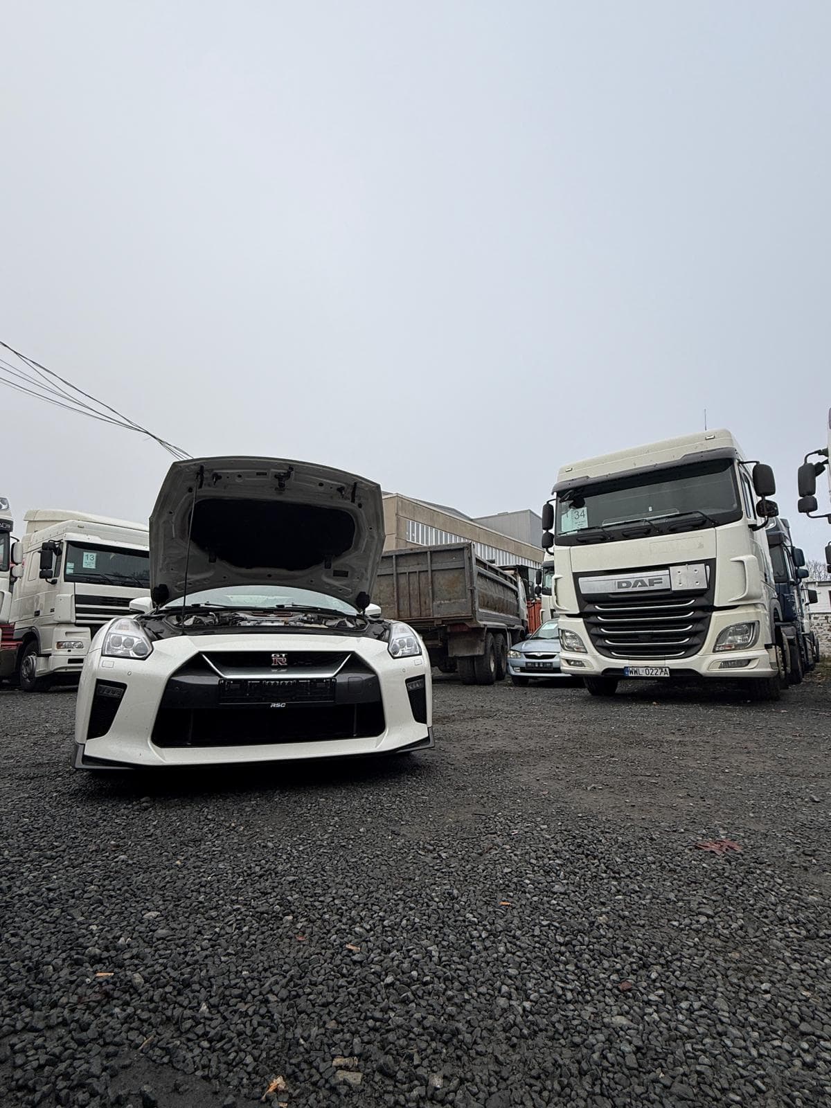 Moussa Export Galerie Bild 18